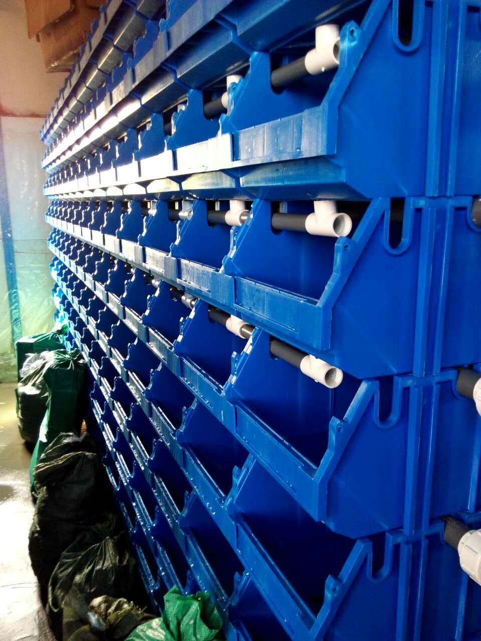 成都螃蟹盒，成都螃蟹養殖盒，成都塑料螃蟹盒
